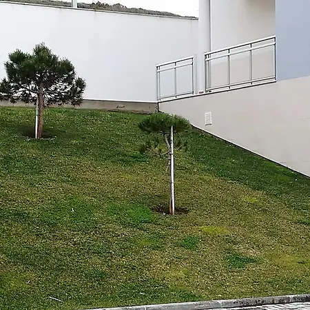 O Pescador * Nazaré