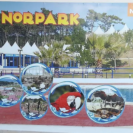 O Pescador Bed and breakfast *