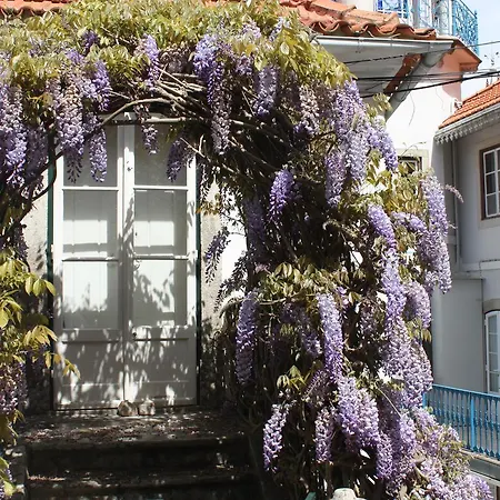 Bed and breakfast O Pescador