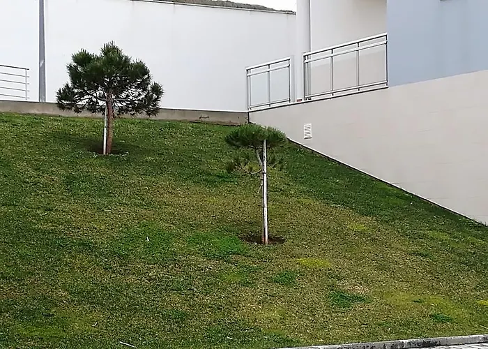 O Pescador * Nazaré