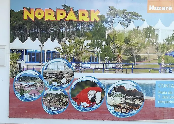 O Pescador Nocleg ze śniadaniem *