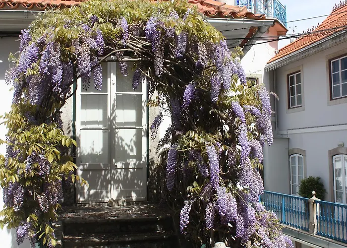 Nocleg ze śniadaniem O Pescador